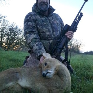 Chinese Water Deer Hunt United Kingdom