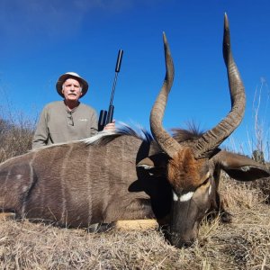 Nyala Hunt South Africa