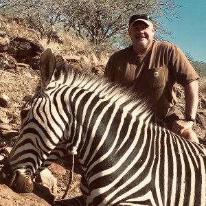 Zebra Hunt Namibia