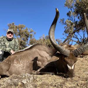 Nyala Hunt