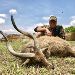 Sitatunga Hunting Zambia