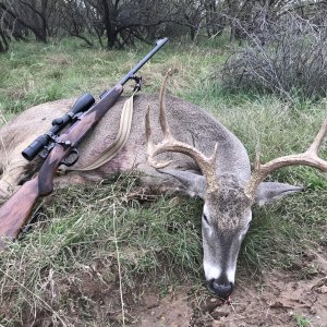 Whitetail Deer Hunt