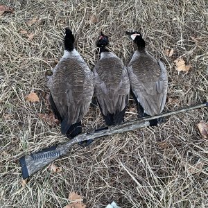 Carlson’s Federal Black Cloud Long Range Choke