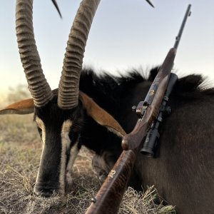 Sable Hunting