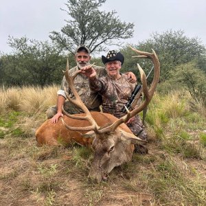 Red Stag Hunt Argentina