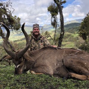 Mountain Nyala Hunt