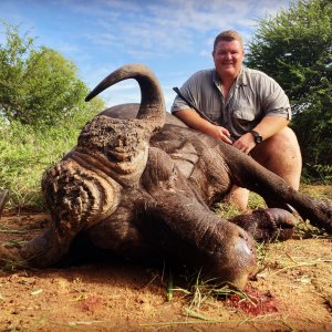 Buffalo Hunt South Africa