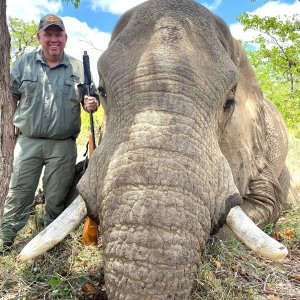 Elephant Hunt South Africa