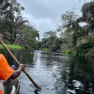 Scenery Gabon