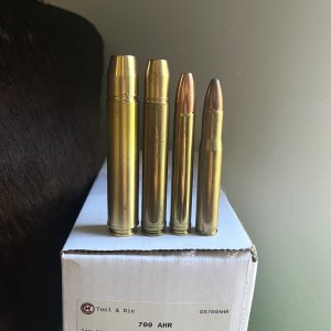 Ammunition Cartridges