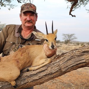 Steenbok Hunt South Africa