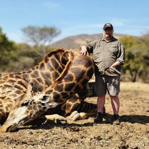 Giraffe Hunt Limpopo South Africa