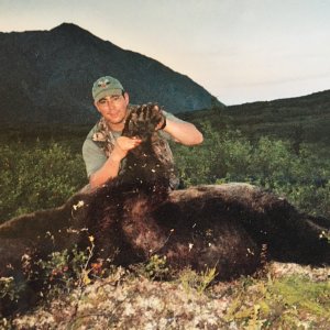 Grizzly Bear Hunt Alaska