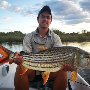 Tigerfish Fishing Namibia