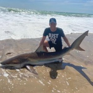 Bronze Whaler Shark Fishing Namibia