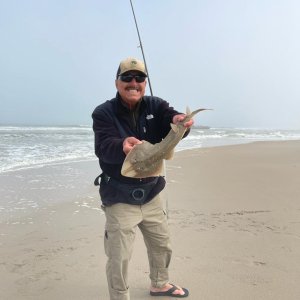 Sand Shark Fishing Namibia