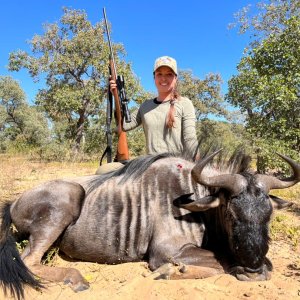 Blue Wildebeest Hunt Namibia