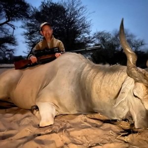 Eland Hunt Namibia