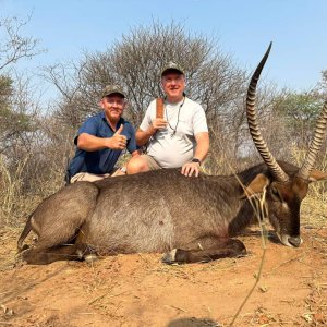 Waterbuck Hunt Namibia