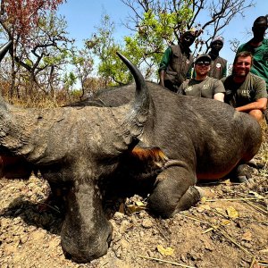 Western Buffalo Hunt Cameroon