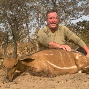 Bushbuck Hunt Cameroon