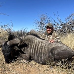 Botswana Blue Wildebeest Hunt