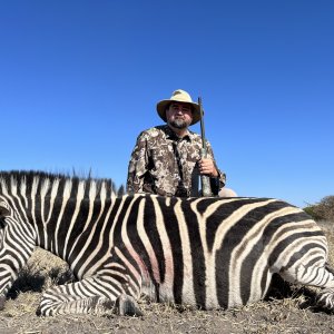 Zebra Hunt South Africa