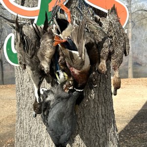 Bird Hunting Catahoula Lake Louisiana