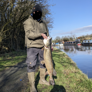 Pike Fishing United Kingdom