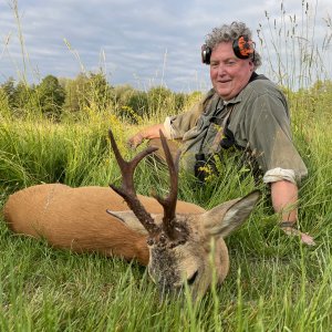 Roe Deer Hunt Romania