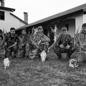 Red Stag Hunt La Pampa Argentina