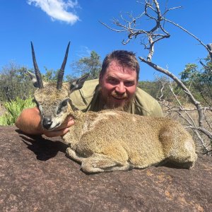 Klipspringer Hunt Limpopo South Africa