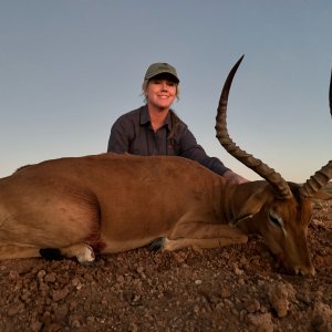 Impala Hunt South Africa