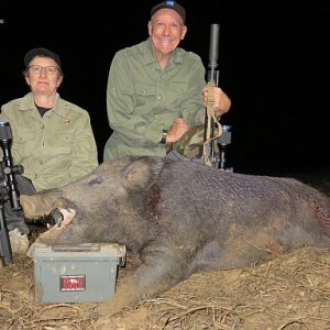 Hog Hunting