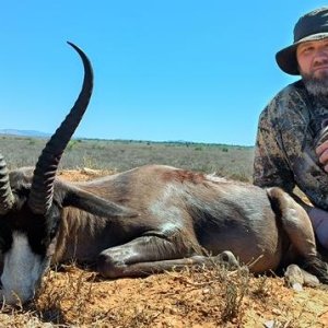 Black Springbok Hunt South Africa