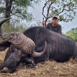 Buffalo Hunt Mozambique