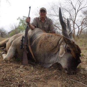 Eland Hunt Mozambique