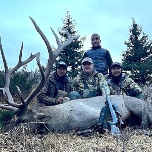 Stag Hunt Kazakhstan