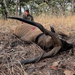 Eland Hunt Cameroon