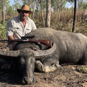 Western Buffalo Northern Territory