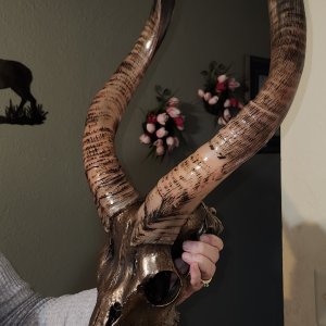 Metalized Nyala Skull Taxidermy