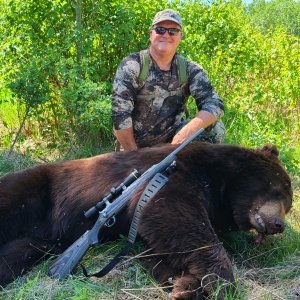 Black Bear Hunting