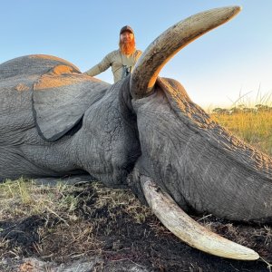 Elephant Hunt Zimbabwe