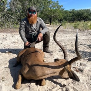 Impala Hunt Zimbabwe