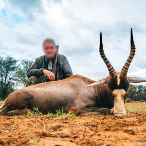 Blesbuck Hunt South Africa