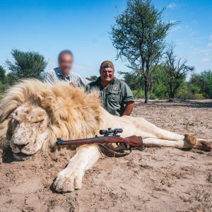 White Lion Hunt South Africa