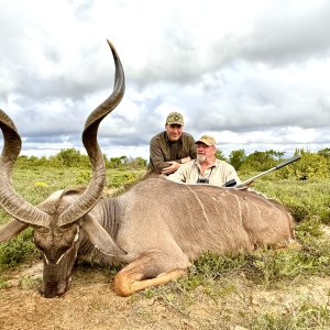 Kudu Hunt Eastern Cape South Africa