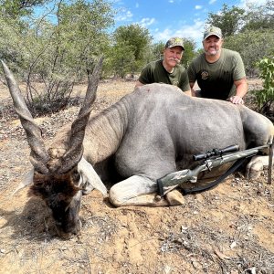 Eland Hunt Namibia