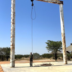 Elephant Hoist Etosha Namibia