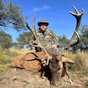 Red Stag Hunting Argentina